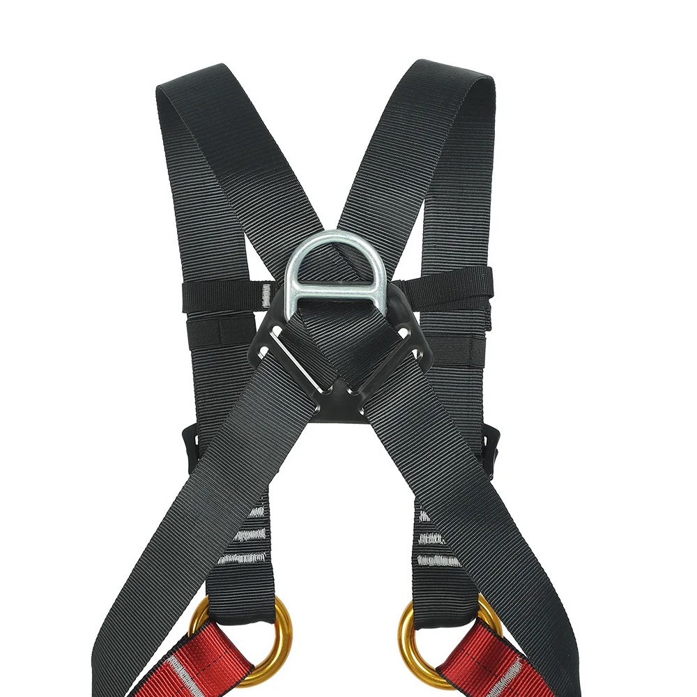 Child Indoor Expansion Full Bo - Kids Outdoor Gear 评论和价格