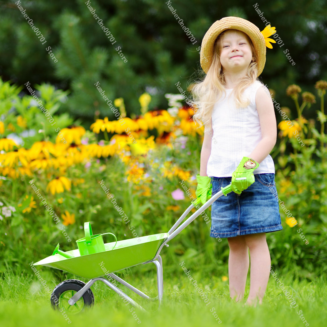 Kids Outdoor Wheelbarrow, Gree - Kids Outdoor Toys 评论和价格