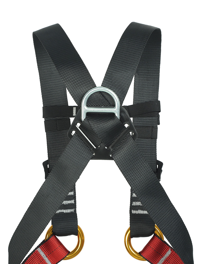 Xinda Child Full Body Harness  - Kids Outdoor Gear 评论和价格